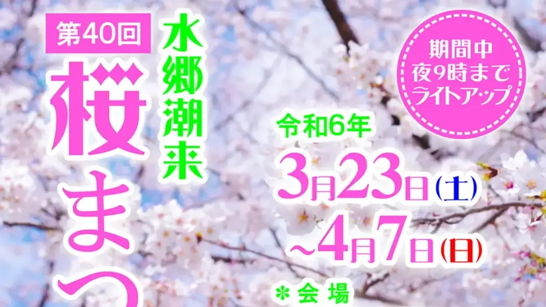 潮来市：第40回水郷潮来桜まつりのポスター