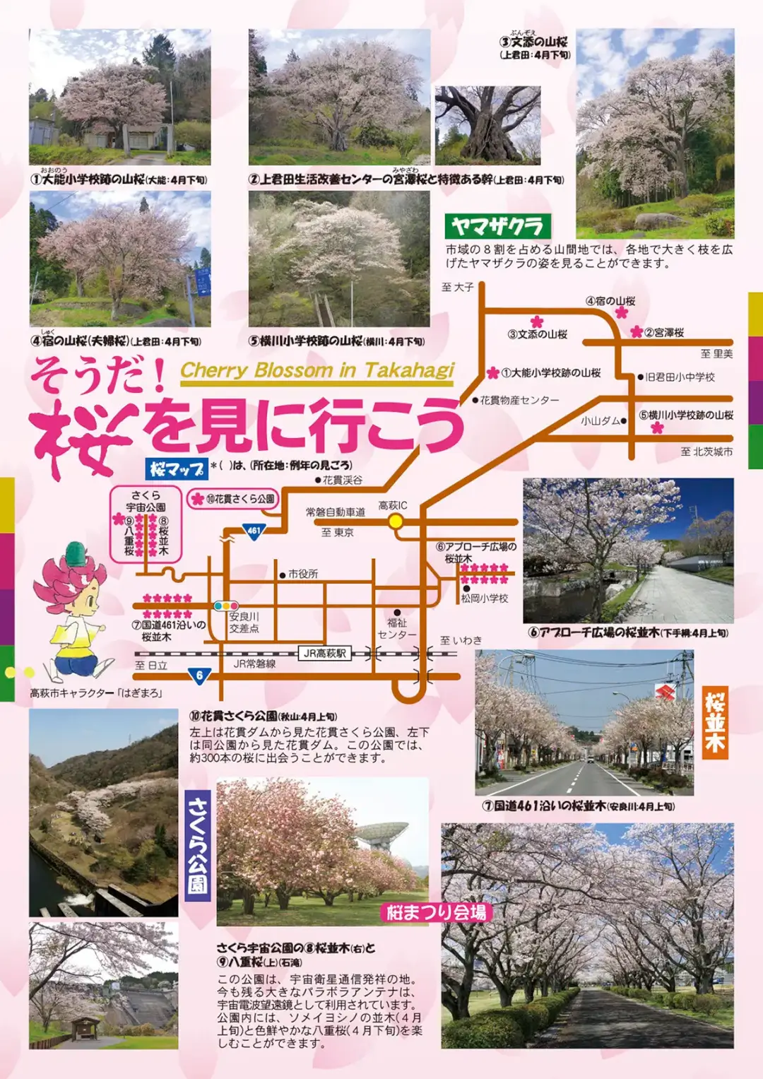 高萩市：2024たかはぎ桜まつりのチラシ