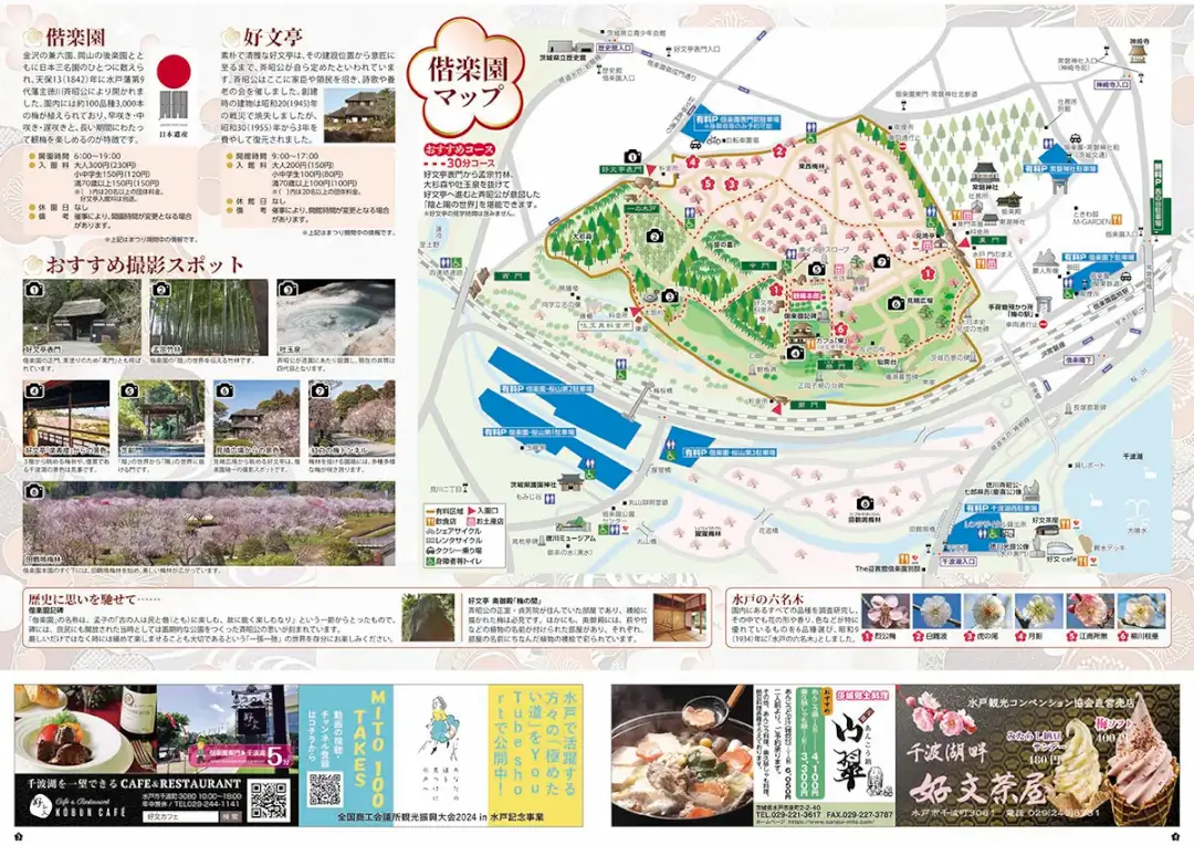 水戸市：第128回水戸の梅まつりのパンフレット