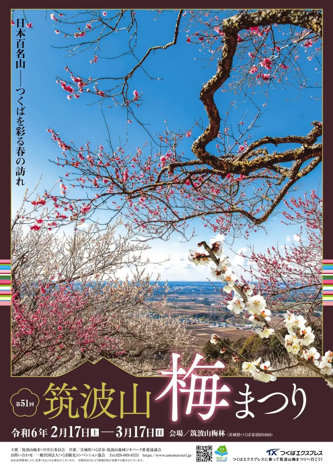つくば市：第51回筑波山梅まつりのポスター