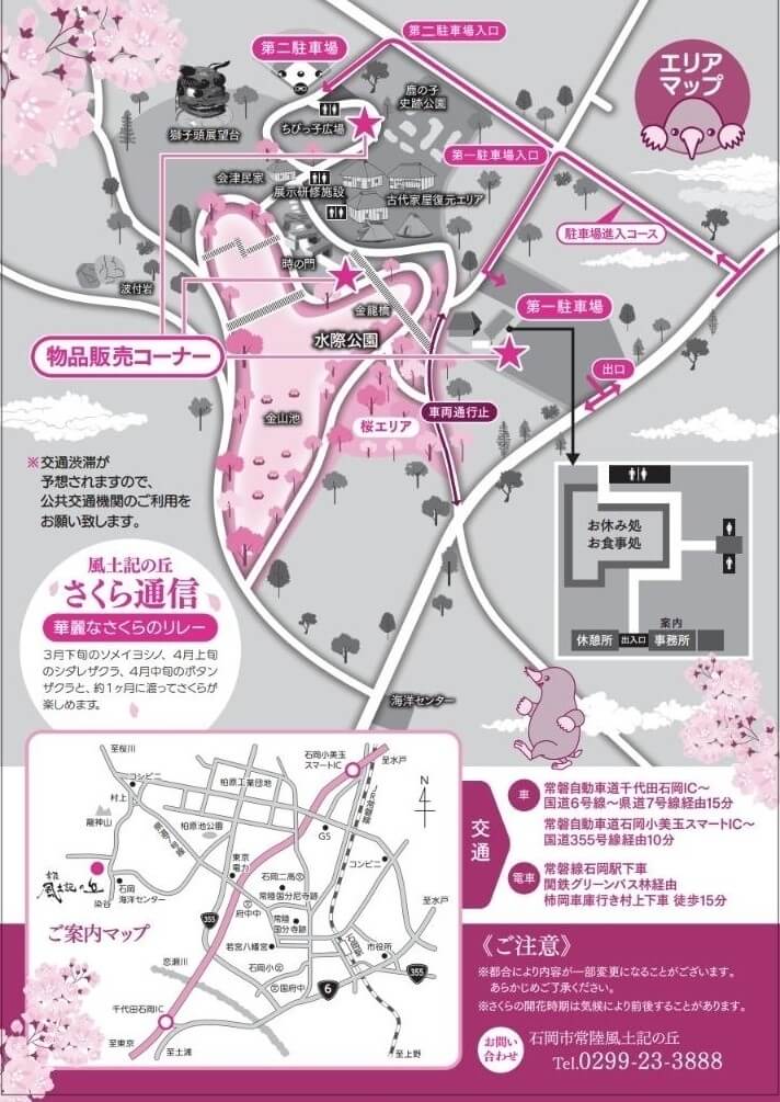 石岡市：常陸風土記の丘さくらまつりのチラシ