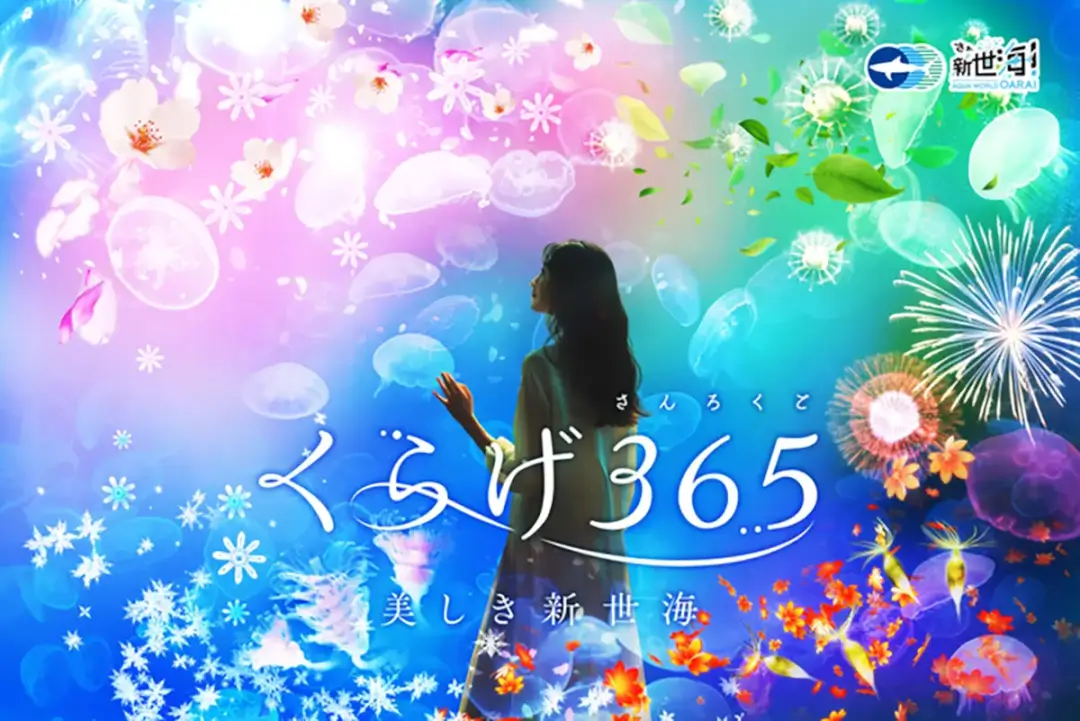 大洗町：アクアワールド大洗水族館クラゲ大水槽『くらげ３６５』リニューアル