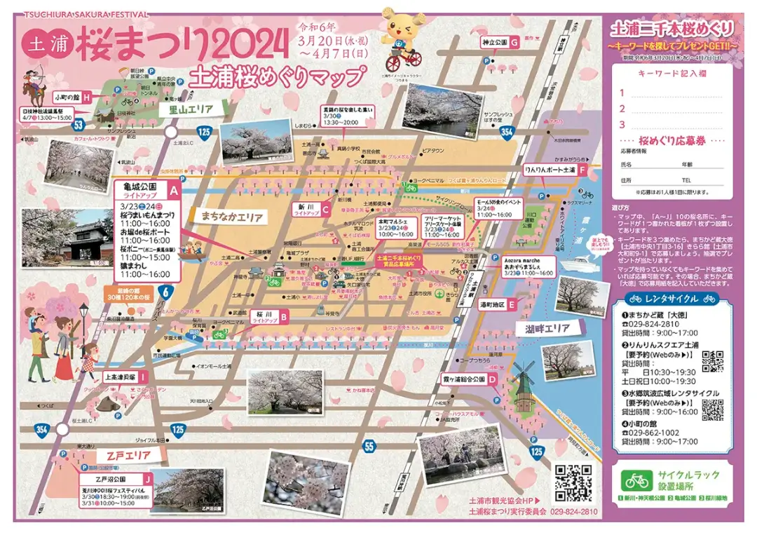 土浦市：土浦桜まつり2024のチラシ