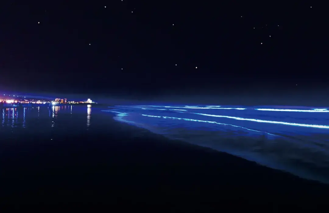 大洗町：茨城DC特別企画 NIGHTWAVE～海のイルミネーションin大洗～