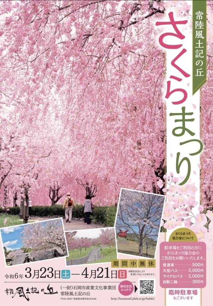 石岡市：常陸風土記の丘さくらまつりのチラシ