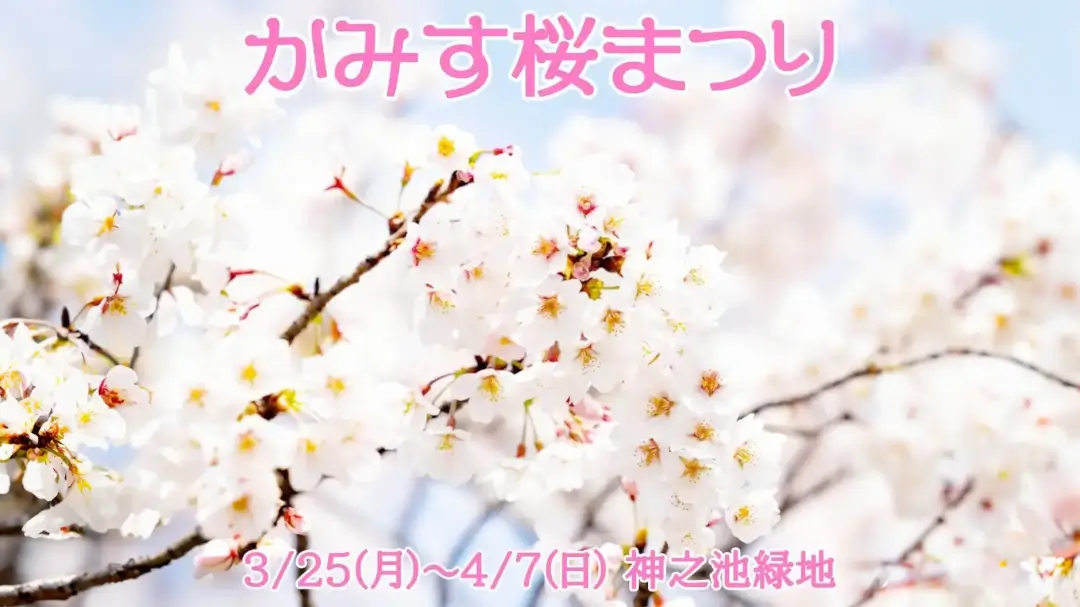 神栖市：さくらまつり2024の画像