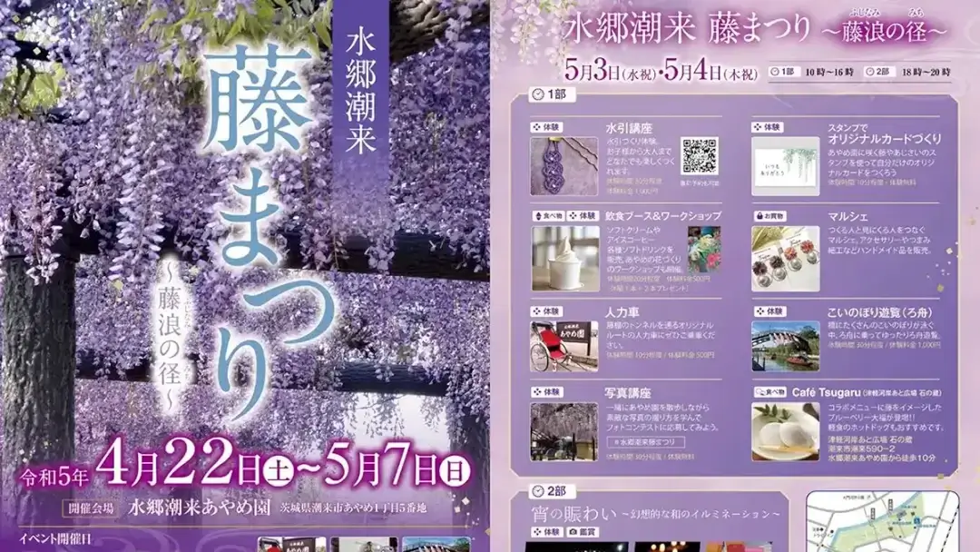 潮来市：水郷潮来藤まつり～藤浪の径～のチラシ