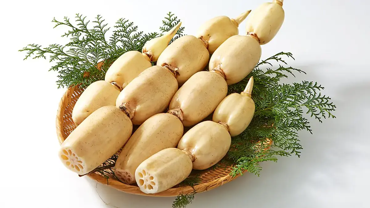 土浦のれんこん